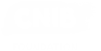 CNIB Foundation Logo